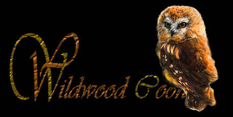 picture for wildwoodcoons